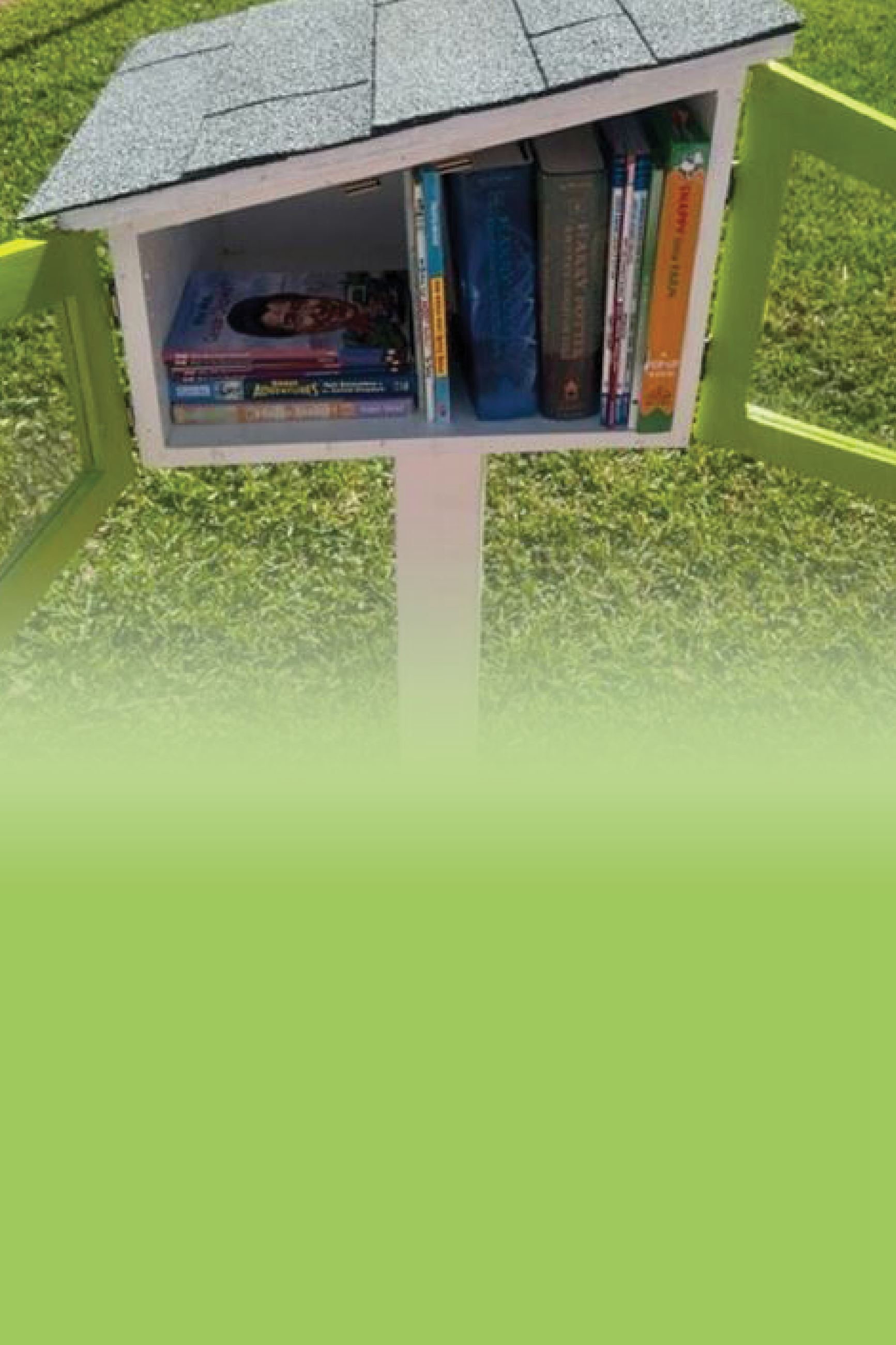 Little libraries