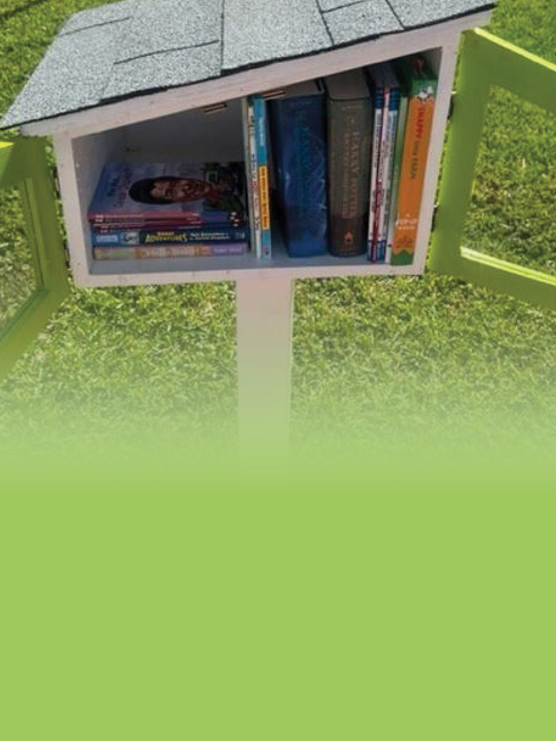 Little libraries